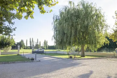 a weeping willow tree on the side of a road at Le Petit Mas Rey in Eyragues