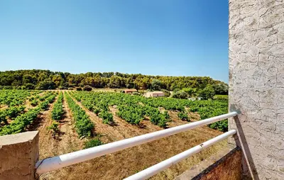 a view of a vineyard from a building at 3 Bedroom Stunning Home In Bédoin in Bédoin
