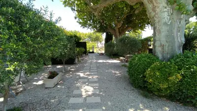 a garden with a tree and a walk way at Mas de St-Andiol in Cabannes