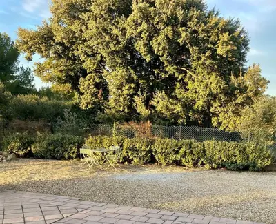 a park bench sitting in front of a tree at Gîte au milieux des oliviers. in Caromb