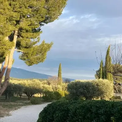 Gîte au milieux des oliviers.