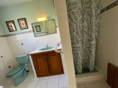 a bathroom with a blue toilet and a shower curtain at La Villa Tanamera, très jolie maison piscine, à 2 pas du centre-ville in Bédoin