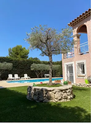 a tree in front of a house with a pool at T3 avec jardin et piscine privée in Velaux