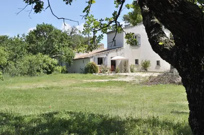 a white house with a tree in front of it at Gite Hardy in Velleron