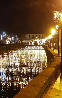 a group of birds sitting in a pond at night at Au Bregnat Vue du mont Ventoux in Bédoin