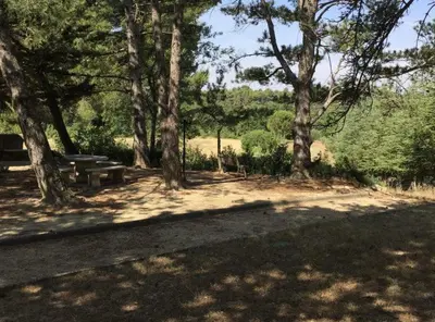 a picnic area with a picnic table and trees at LA BASTIDE FERREOL in La Motte-dʼAigues