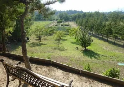 a park bench sitting next to a field with trees at LA BASTIDE FERREOL in La Motte-dʼAigues