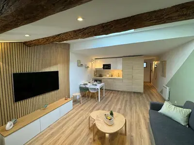 a living room with a couch and a tv and a table at Les Bouteilles - 1 chambre hyper centre - 6p - Wifi in Aix-en-Provence