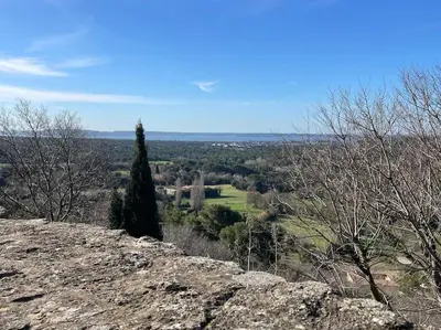 a tree sitting on top of a rock at Maison l’Oustaou Cornillonnais in Cornillon-Confoux