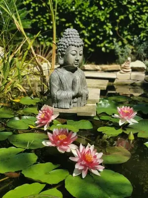 a statue sitting in a pond with pink flowers at BELLE VILLA Piscine 120 m2, 8 pers, 3 belles chambres Près d'Aix-en-Provence in Ventabren