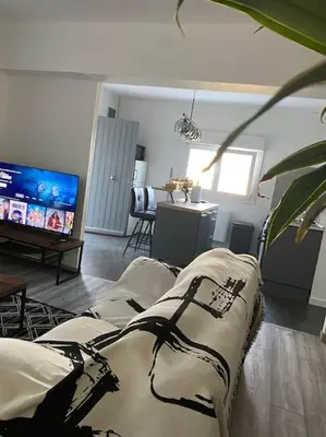 a living room with a couch and a flat screen tv at SPA jardin privé T3 indépendant dans Villa in Morières-lès-Avignon