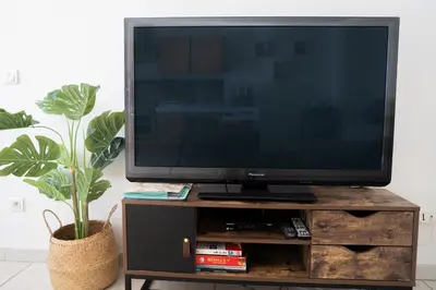 a television on a wooden stand with a potted plant at Ô Coeur Des Ocres in Roussillon