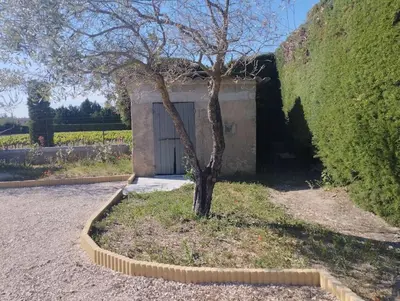 a tree in front of a building with a garage at Maisonnette en campagne au calme in Carpentras