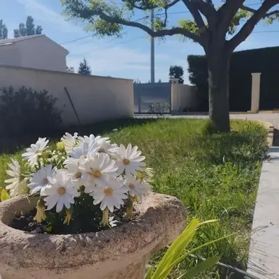 Maisonnette en campagne au calme