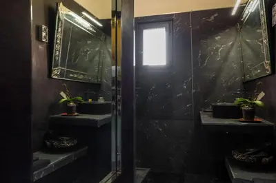 a bathroom with a shower with a window and plants at Une pause en Provence au Village des antiquaires de la Gare in LʼIsle-sur-la-Sorgue