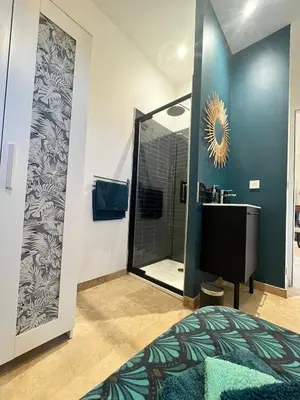 a bathroom with a shower and a sink and a mirror at Le Platane Maison climatisée avec piscine in Monteux
