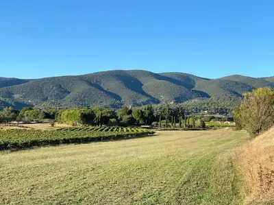 a field of grass with mountains in the background at Charmante dépendance avec piscine en Provence in Le Puy-Sainte-Réparade