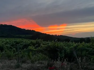 a sunset over a farm with a field of crops at Domaine des Figons in Éguilles