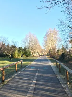 a road in a park with trees and a fence at Le Mas Mérindol Gîte Cerise in Loriol-du-Comtat