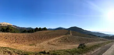 a dirt road in a field with mountains in the background at Le Mas Mérindol Gîte Cerise in Loriol-du-Comtat