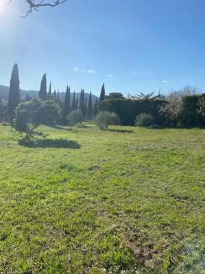 a field of grass with trees in the background at La villa Li Grihet in Beaumont-de-Pertuis
