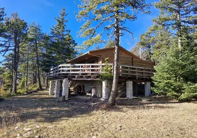 a log cabin in the woods with a tree at Chalet du Mont Ventoux - Rendez-vous en Provence in Bédoin