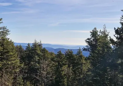 a group of trees on top of a mountain at Chalet du Mont Ventoux - Rendez-vous en Provence in Bédoin
