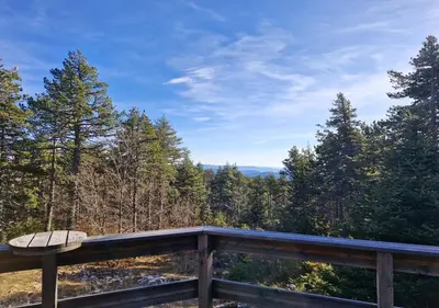a wooden deck with a bench on top of a forest at Chalet du Mont Ventoux - Rendez-vous en Provence in Bédoin