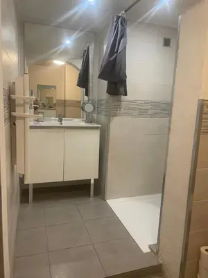 a bathroom with a shower and a sink and a mirror at Appartement in Caumont-sur-Durance