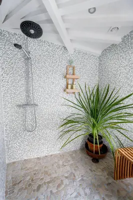 a bathroom with a shower and a potted plant at Aux Heures Bleues in LʼIsle-sur-la-Sorgue