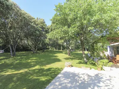 an image of a yard with trees and grass at Le Jardin des Chenes in Eyragues