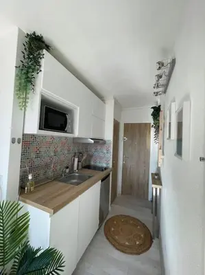 a small kitchen with a sink and a shower at Charmant Studio à 5 min d’Aix en Provence in Aix-en-Provence