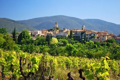 a town on a hill with a bunch of vines at Maison de charme à Lourmarin in Lourmarin