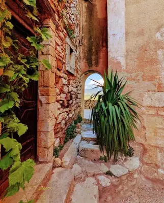 a brick building with a doorway and a plant at Gîte Le Bosquet - Au cœur du Luberon in Apt