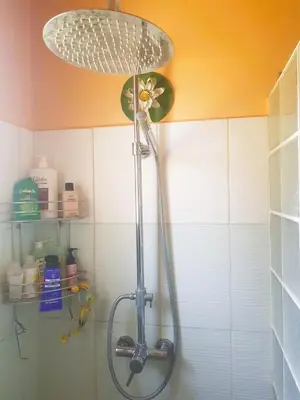a shower with a shower head in a bathroom at Chambre dans Petit havre de paix avec piscine chauffée au coeur du Luberon in Gargas
