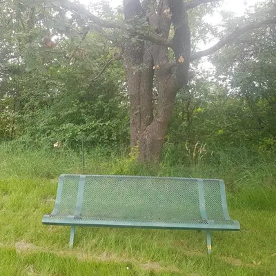 a blue bench sitting in the grass next to a tree at Chambre dans Petit havre de paix avec piscine chauffée au coeur du Luberon in Gargas