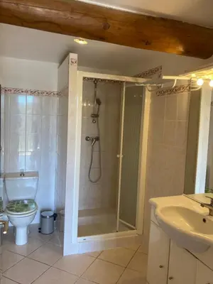 a bathroom with a shower and a toilet and a sink at Maison au Colorado Provençal in Rustrel