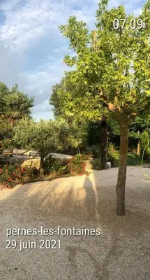 a person walking down a street next to a tree at La provence avec piscine privative en campagne in Pernes-les-Fontaines