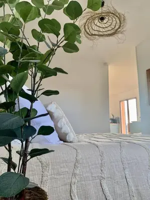 a bedroom with a bed with a plant next to it at Provensa - love room avec balneo et terrasse avec vue in Pertuis