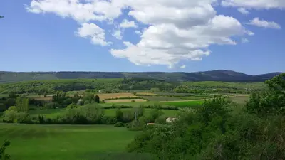 a green field with trees and mountains in the distance at LE GRAIN DE LAVANDE - Mont Ventoux in Sault-de-Vaucluse