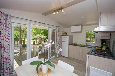 a kitchen with a table with a plant in a vase at Camping Le Luberon in Apt
