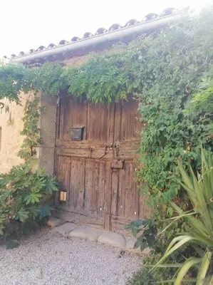 a wooden door with ivy on the side of a building at Bedoin Mas PASEVE in Bédoin