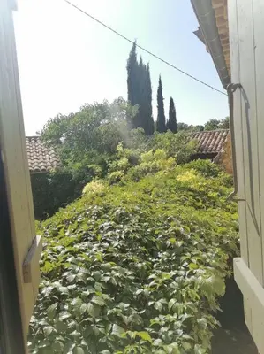 a large field of plants with trees in the background at Bedoin Mas PASEVE in Bédoin