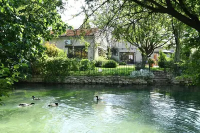 three ducks swimming in a pond in front of a house at Profitez de la quiétude en bord de rivière, à 5 min du centre ville in LʼIsle-sur-la-Sorgue