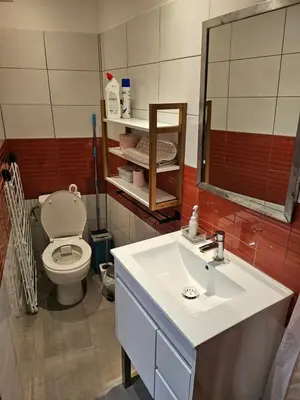 a bathroom with a sink and a toilet at la petite maison in Céreste