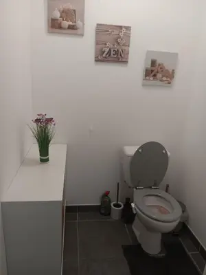 a bathroom with a toilet and three pictures on the wall at MIRANEO in Miramas