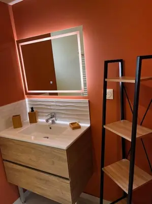 a bathroom with a sink and a mirror and a shelf at Le capèu in Mollégès