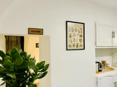a kitchen with a potted plant and a sign on the wall at La glycine in Saint-Marc-Jaumegarde