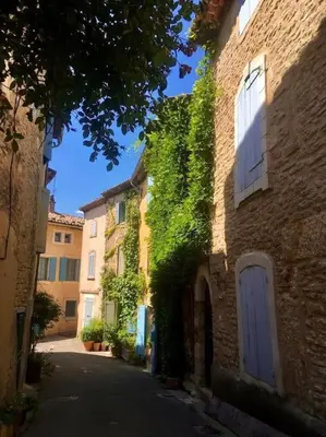 an alley with ivy growing on the side of a building at Luberon en Provence - La maison de Michèle au cœur de Goult in Goult