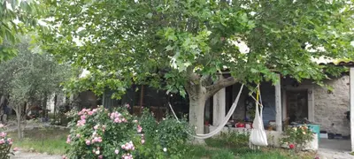 a house with a tree and some flowers at Lou Boulugi in Aix-en-Provence